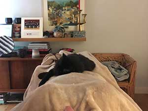 Reiki - MS client and her cat