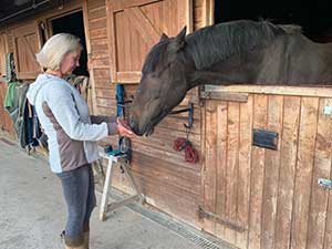 New Ride High horse having Reiki to help settle her in